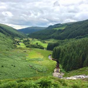 13895286_10153604669906436_1841810436899885581_n