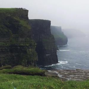 13876613_10153604704576436_3723355539356678484_n