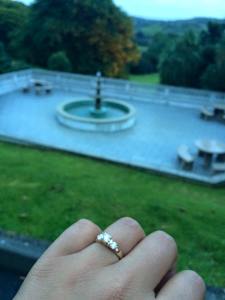 13879475_10153604707611436_8167719958109592884_n