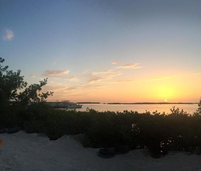 11659256_10152856438961436_6041569478044133226_n